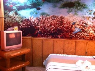 Anahaw Island View Resort - 2