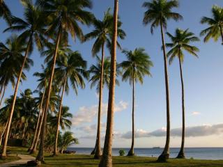 Kuting Reef Resort - 3