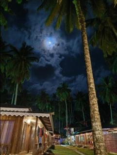 Green Valley Resort-Havelock Island - 3