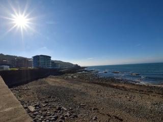 1 bed in Westward Ho 61767 - 9