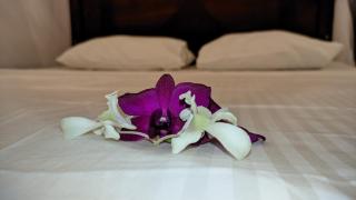 Beach House Madiha - Matara - 9