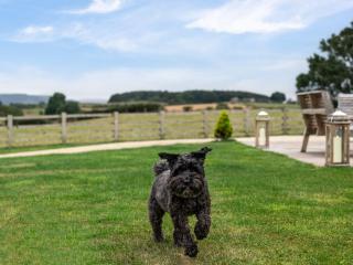 4 Bed in Bedale 80704 - 7