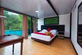 Finca Hotel Santo Tomas Campestre - 7