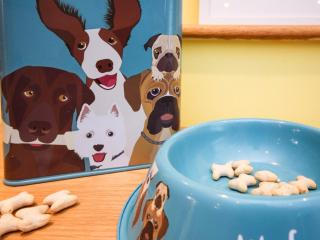 2 bed property in Appledore Devon COCKL - 3