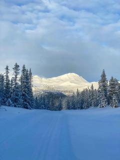 Modern Family Cabin By The Ski Trail In Tuddal - 7
