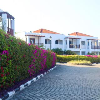 Zuri's Beachfront Bliss, With Beach Access - 3