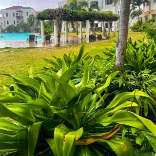 Zuri's Beachfront Bliss, With Beach Access - 7