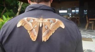 Secret Paradise Resort & Turtle Sanctuary - 1