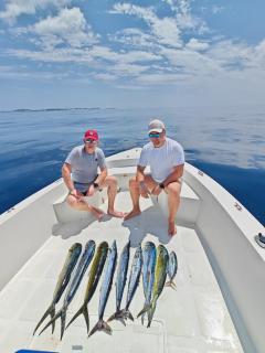Blue Wave Hotel Maldives - If booked Fullboard a week, free transport to hotel - Best for fishing surfing snorkeling sandbank - 6