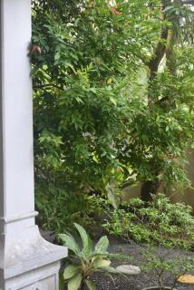 Villa Star 16 Hostel - 3