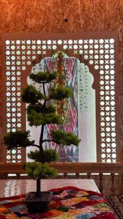 Hotel Ravshanbek - 2