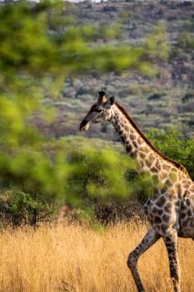 Hot Tub Haven - Modimolle - 2