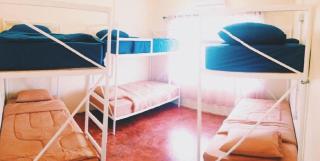 Oldie and Sleepy Hostel - 9