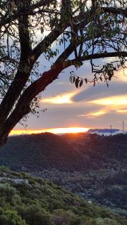 Το Λαϊνάκι by Fox Tale Guest House - 8