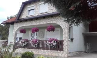 Guesthouse Miha - Rakovica - 9