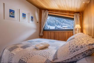 Beautiful apartment with superb view of Mont Blanc - 3