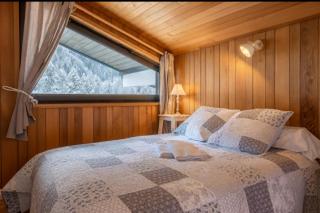 Beautiful apartment with superb view of Mont Blanc - 4