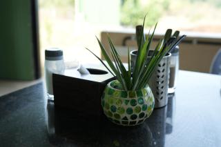 Junglee Bagicha Agro Tourism - 9