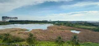 OYO Home 90533 Nomadic Town Condo - 8