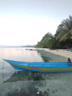 Batanta Panorama Homestay - 1