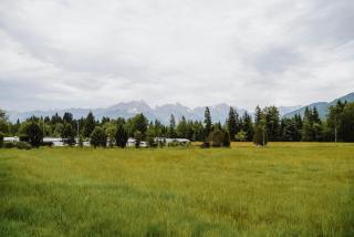 Das Haus am Waldsee - 7