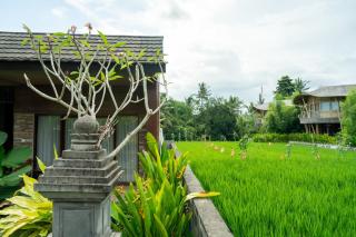 Bali Vanili Villa - 6