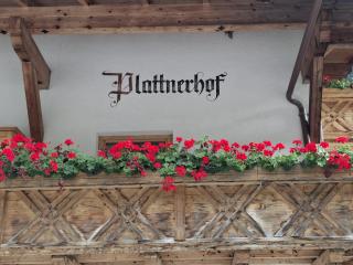 Plattnerhof Kaunertal - 9
