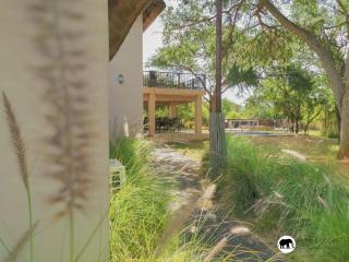 Pumba's Place - Zebula - 4