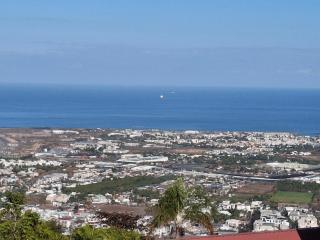 La case des oiseaux - 3