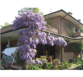 B&B Les Fleurettes - 9