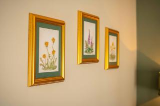 The New White Lion - 2