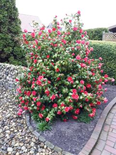 NEU! Ferienwohnung Tide - 2