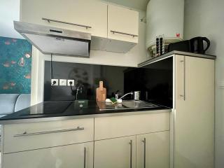 Small Studio in the Heart of Lille - 7