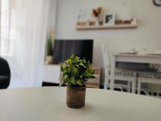 Los Locos 1, 200m Beach - 1