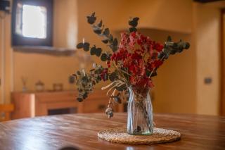 Casa Rural Can Met - 2