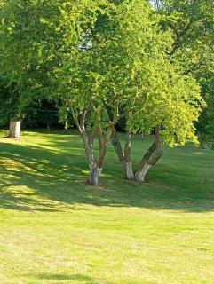 Gîte Au Bord de la Baie de Somme - 7