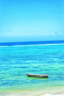 Mambo Villa - 2