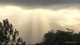 Ecoasis Mami Wata Rainforest Haven - 1