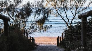 Ecoasis Mami Wata Rainforest Haven - 1