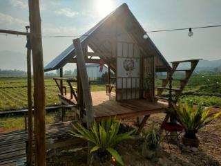 มองนาภูคาน่านโฮมสเตย์ - Ban Thon (1) - 3