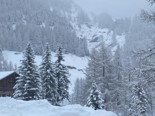 La Baïta De La Foux - 4