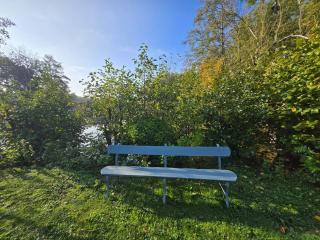 Rénovation de charme, nature, étang, authenticité - 3