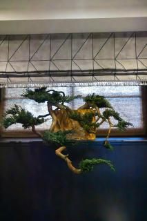 Hotel - Bar Grafaite - 6