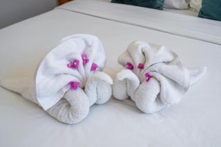 The R Villa Kaba - incl. Motorbikes - 5