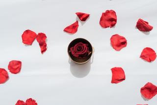 L'Escale Royale Verneuil-sur-Seine - Verneuil-sur-Seine - 6