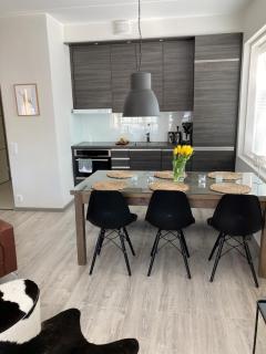 Tunturinlaita C 7 Visit Levi - 7