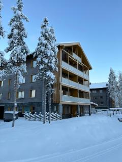 Tunturinlaita C 7 Visit Levi - 9