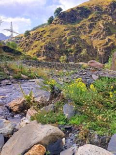 Elos Guesthouse - Iprari - 1