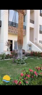 Sunny Lakes apartment Naama - 0