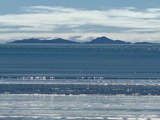 Seashells of Seaforth - 6